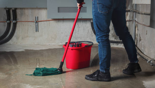 Best 24/7 water damage repair  in Wabasso Beach, FL