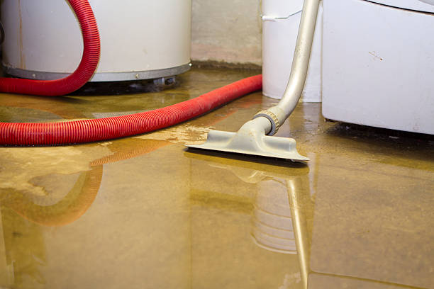 Best Carpet water damage restoration  in Wabasso Beach, FL