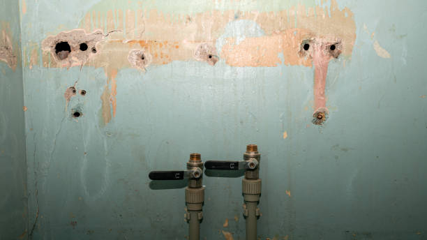 Best Professional water damage repair  in Wabasso Beach, FL