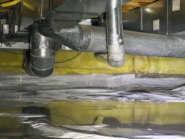 Best Water damage restoration mold remediation  in Wabasso Beach, FL