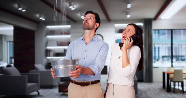 Best Fire Damage Restoration  in Wabasso Beach, FL